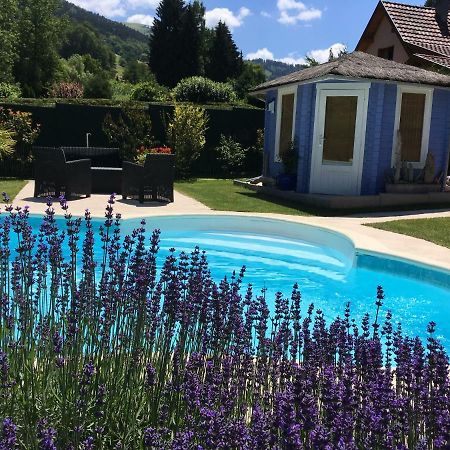 Gite Chez Vero Breitenbach-Haut-Rhin المظهر الخارجي الصورة