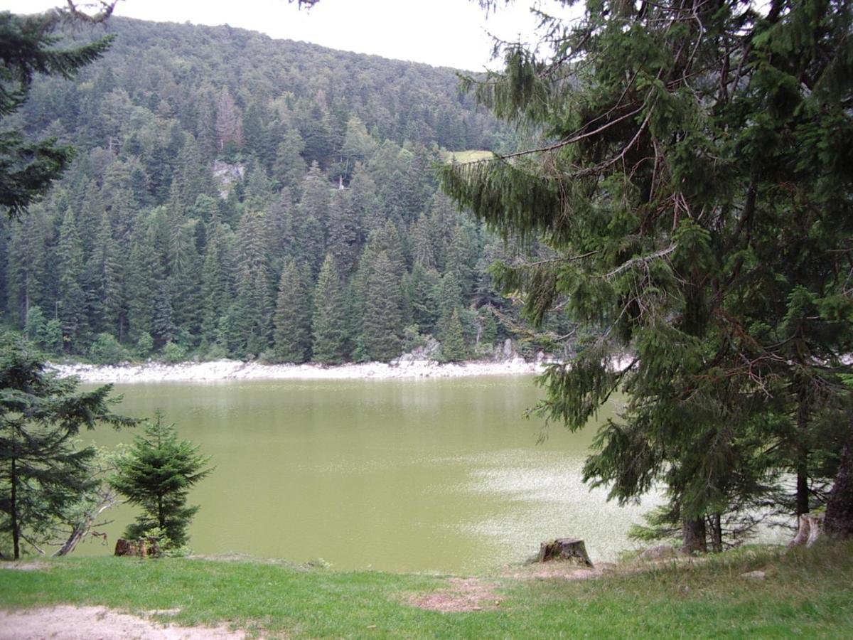 Gite Chez Vero Breitenbach-Haut-Rhin المظهر الخارجي الصورة