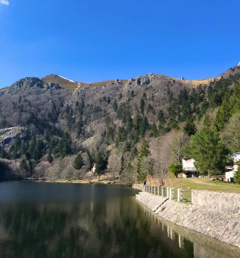 Gite Chez Vero Breitenbach-Haut-Rhin المظهر الخارجي الصورة