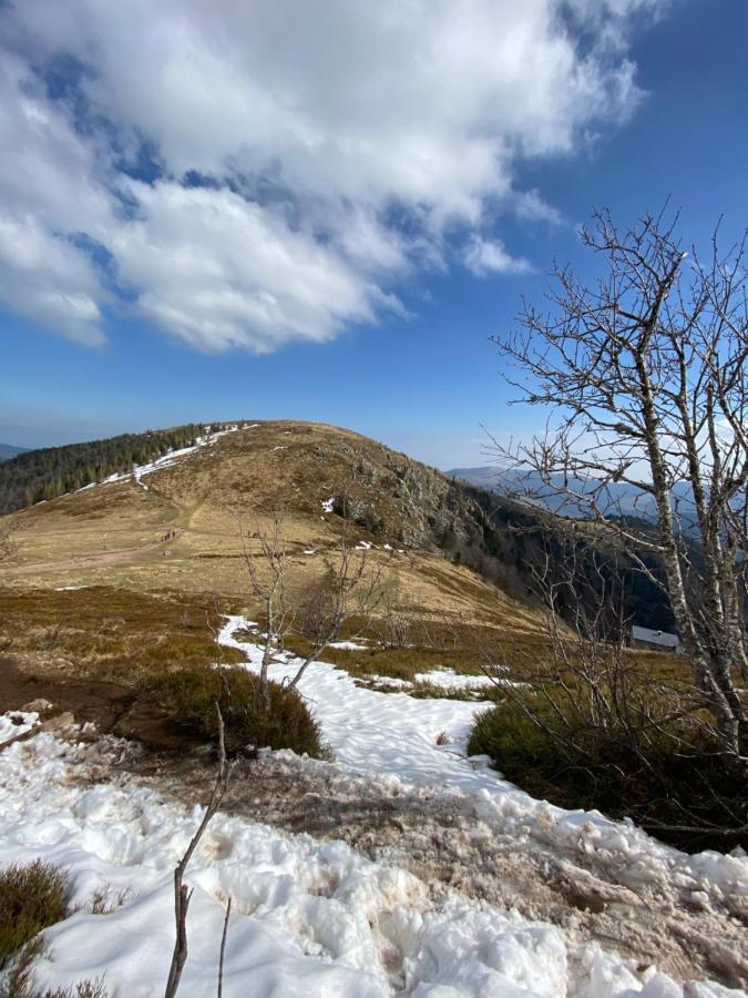 Gite Chez Vero Breitenbach-Haut-Rhin المظهر الخارجي الصورة