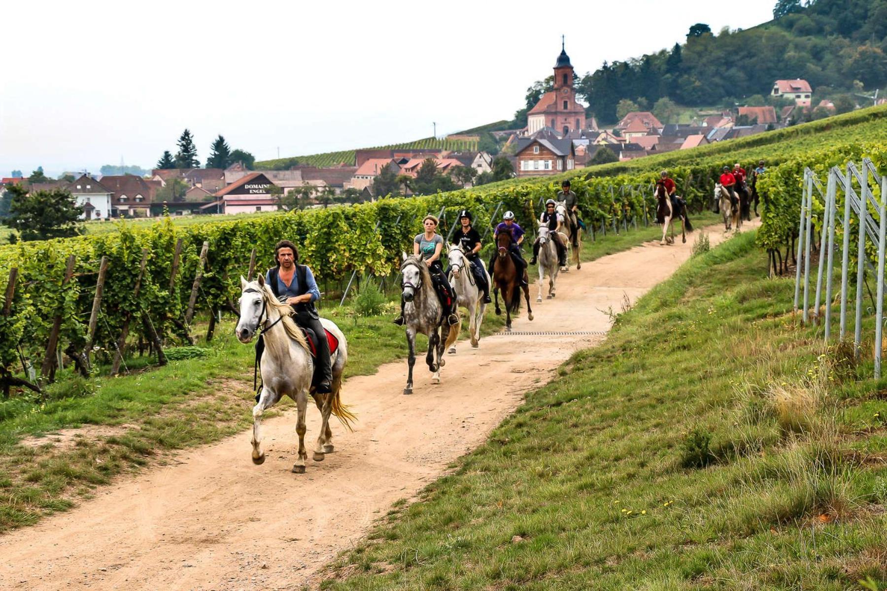 Gite Chez Vero Breitenbach-Haut-Rhin المظهر الخارجي الصورة