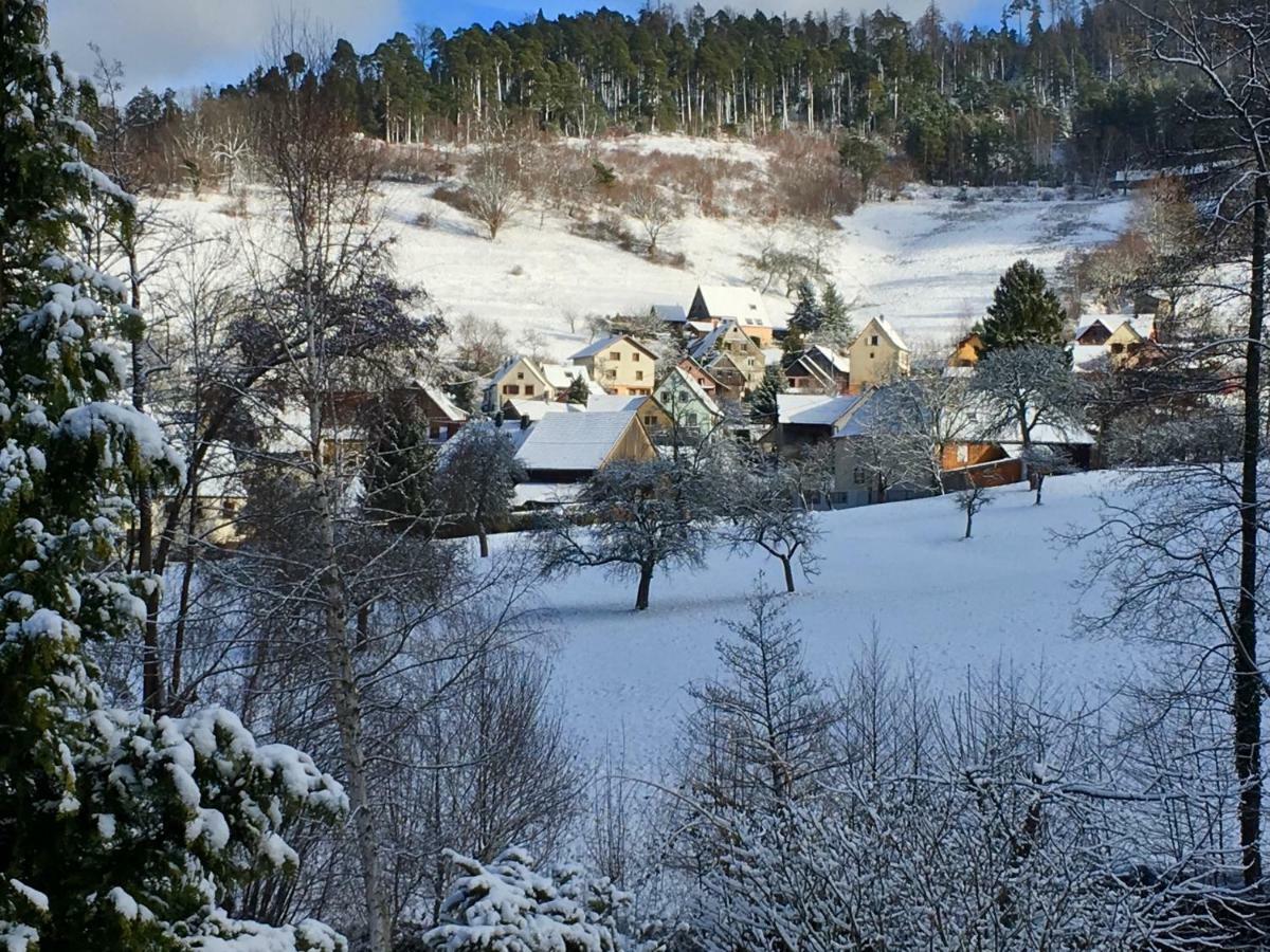 Gite Chez Vero Breitenbach-Haut-Rhin المظهر الخارجي الصورة