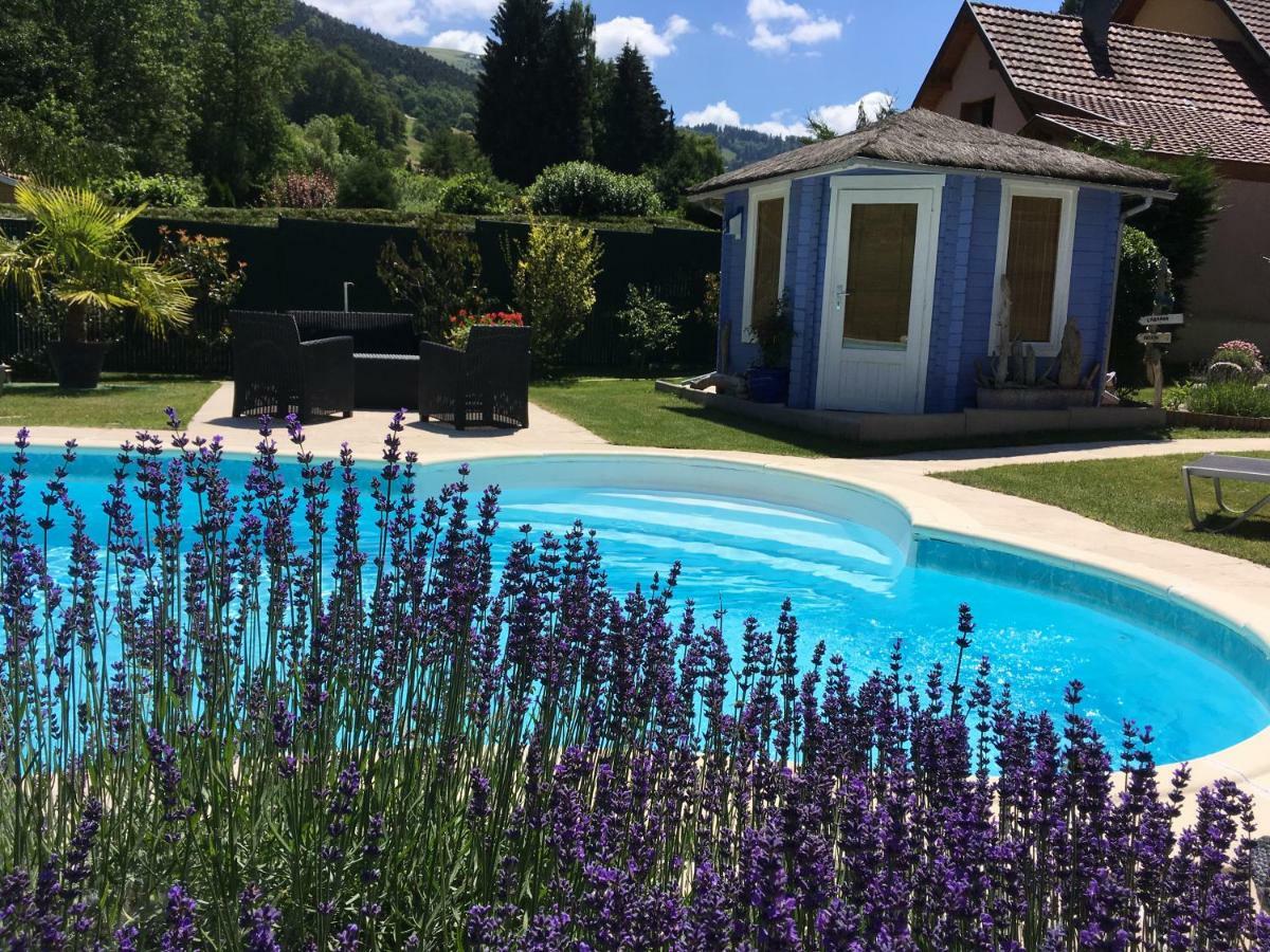 Gite Chez Vero Breitenbach-Haut-Rhin المظهر الخارجي الصورة