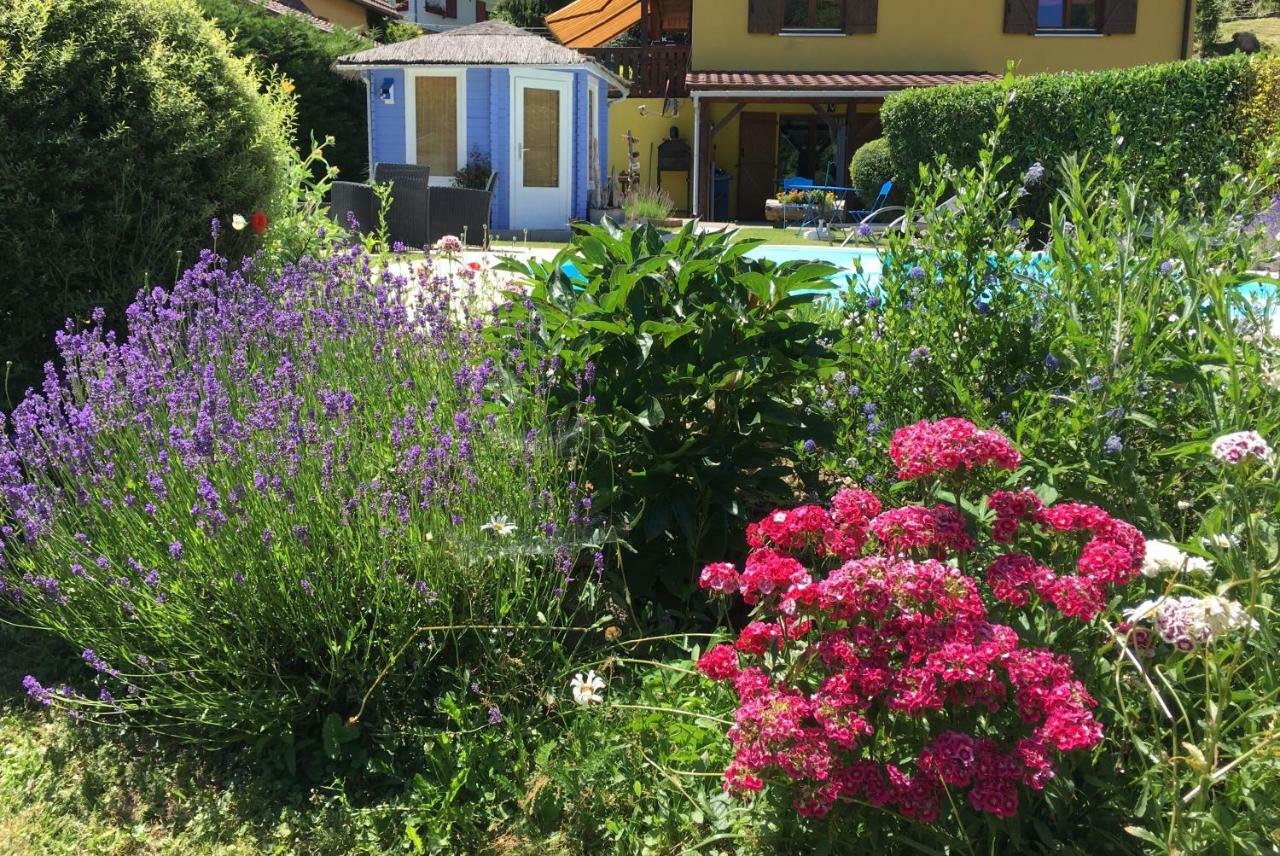 Gite Chez Vero Breitenbach-Haut-Rhin المظهر الخارجي الصورة