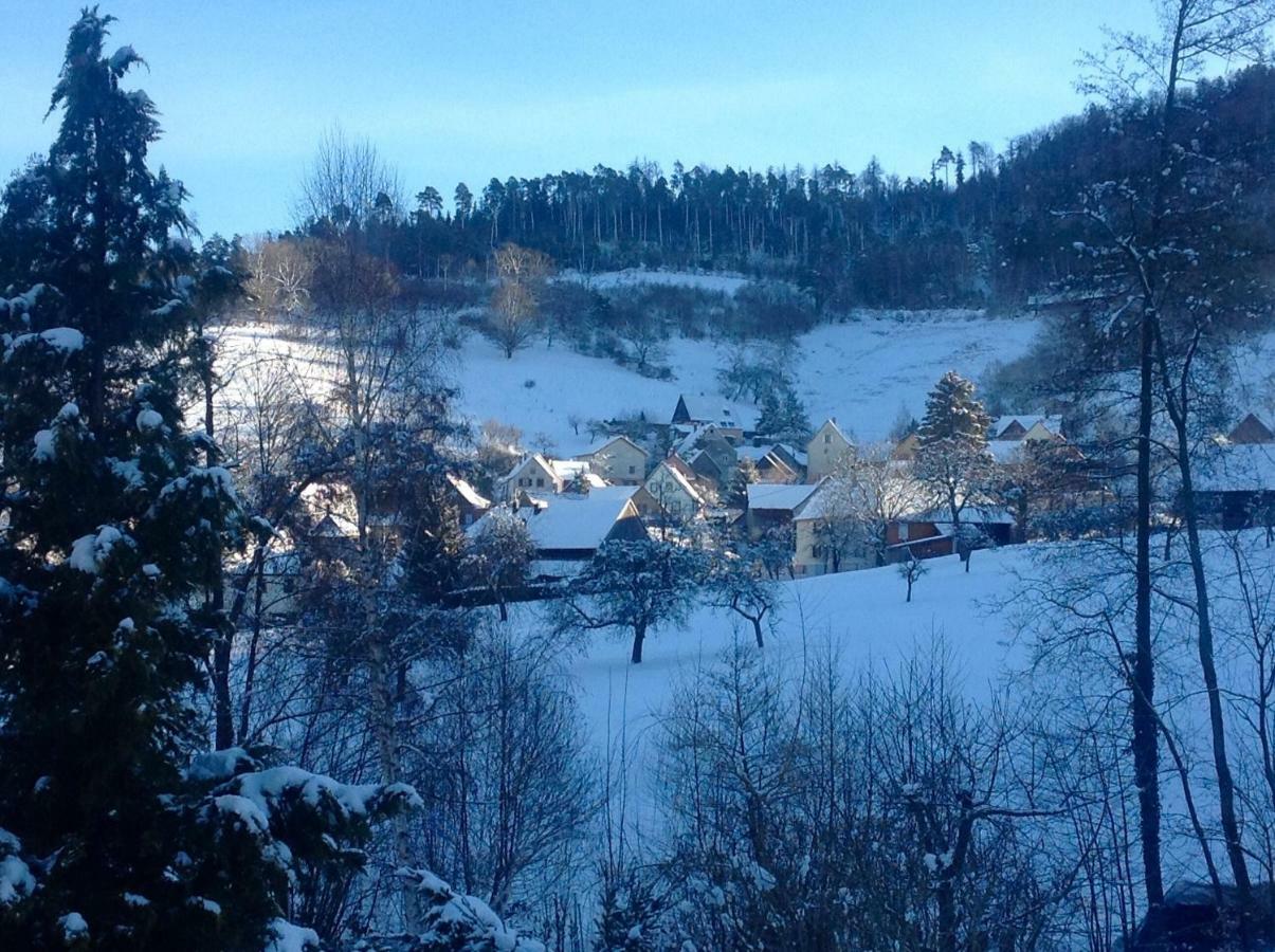 Gite Chez Vero Breitenbach-Haut-Rhin المظهر الخارجي الصورة
